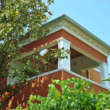 Apartments Rolovina ติวัต ภายนอก รูปภาพ